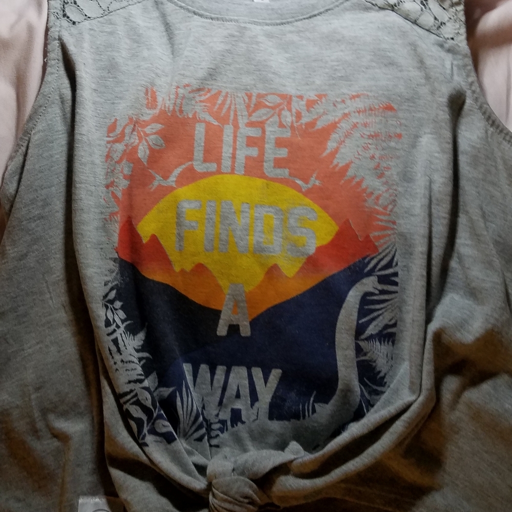 Jurassic park top